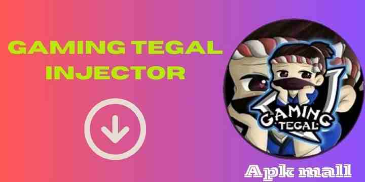 Gaming-Tegal-Injector